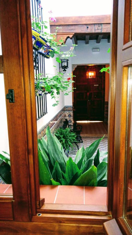 Casa Museo La Merced Málaga Dış mekan fotoğraf
